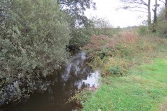 2.-Downstream-from-Cooks-Mill-weir-6