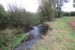 3.-Upstream-from-Yeo-Farms-New-Bridge-2