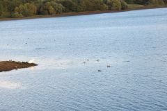 2.-Blagdon-Lake-5