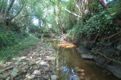 1.-Upstream-from-Brandy-Bridge