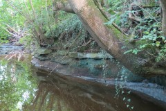 10.-Upstream-from-Brandy-Bridge