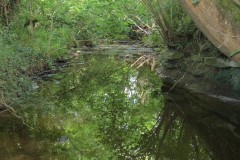 11.-Upstream-from-Brandy-Bridge