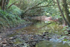 12.-Upstream-from-Brandy-Bridge