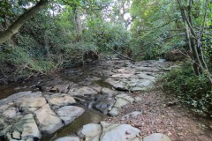 14.-Upstream-from-Brandy-Bridge