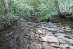 15.-Upstream-from-Brandy-Bridge