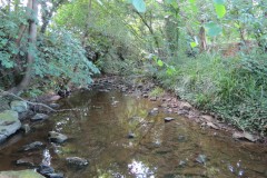 16.-Upstream-from-Brandy-Bridge