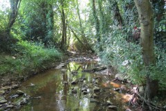 18.-Upstream-from-Brandy-Bridge