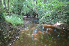 25.-Downstream-from-A358-bridge