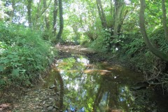 26.-Downstream-from-A358-bridge