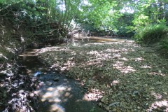 27.-Downstream-from-A358-bridge