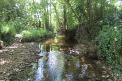 28.-Downstream-from-A358-bridge