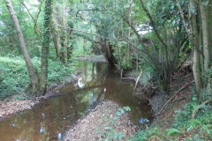 29.-Downstream-from-A358-bridge