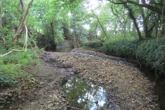 30.-Downstream-from-A358-bridge