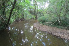 31.-Downstream-from-A358-bridge