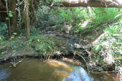 32.-Tributary-stream-joines-from-Staple-Fitzpaine