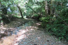 33.-Downstream-from-A358-Bridge