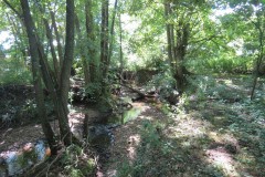 35.-Downstream-from-A358-Bridge