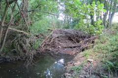 36.-Downstream-from-A358-Bridge