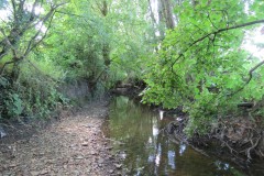 37.-Downstream-from-A358-Bridge