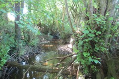 38.Downstream-from-A358-Bridge