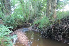 39.-Downstream-from-A358-Bridge