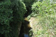 45.-Looking-downstream-from-A358-Bridge