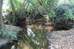 48.-Upstream-from-A358-Bridge