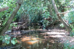 50.-Upstream-from-A358-Bridge