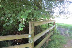 52.Footbridge-over-Staple-Fitzpaine-tributary-stream