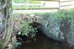 53.-Footbridge-over-Staple-Fitzpaine-tributary-stream
