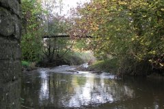 10.-Downstream-from-Bulls-Bridge
