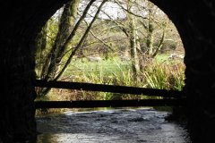 18.-Frome-Line-Rail-Bridge-over-River-Frome-Tributary