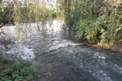 21.-Waters-join-River-Frome-from-the-east