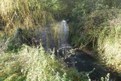 22.-Waters-join-River-Frome-from-the-east