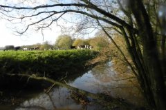 24.-Downstream-from-Bulls-Bridge