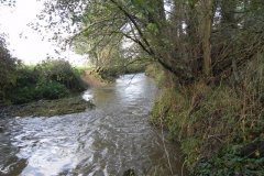 25.-Downstream-from-Bulls-Bridge