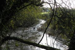 26.-Downstream-from-Bulls-Bridge