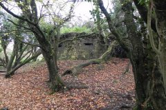 30.-Pill-Box-by-River-Frome-upstream-from-Bulls-Bridge