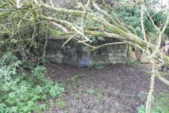 31.-Pill-Box-by-River-Frome-upstream-from-Bulls-Bridge