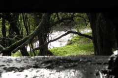 32.-Pill-Box-by-River-Frome-upstream-from-Bulls-Bridge