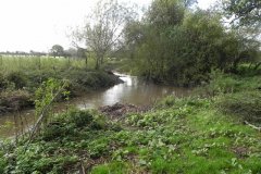 33.-Upstream-from-Blatchbridge