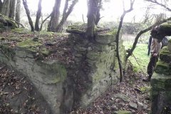 35.-Ruins-by-River-Frome-upstream-from-Blatchbridge