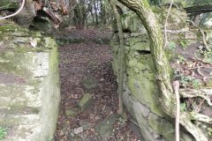 36.-Ruins-by-River-Frome-upstream-from-Blatchbridge