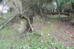 37.-Ruins-by-River-Frome-upstream-from-Blatchbridge
