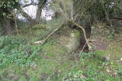 38.-Ruins-by-River-Frome-upstream-from-Blatchbridge