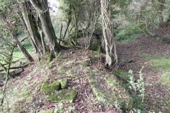 39.-Ruins-by-River-Frome-upstream-from-Blatchbridge