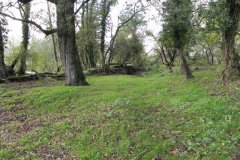41.-Ruins-by-River-Frome-upstream-from-Blatchbridge