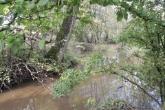 42.-Upstream-from-Blatchbridge