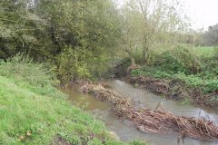 43.-Upstream-from-Blatchbridge