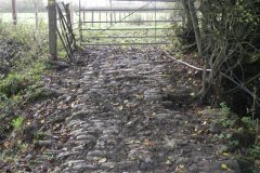 46.-ROW-Bridge-4271